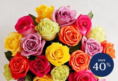 Header navigation sub menu